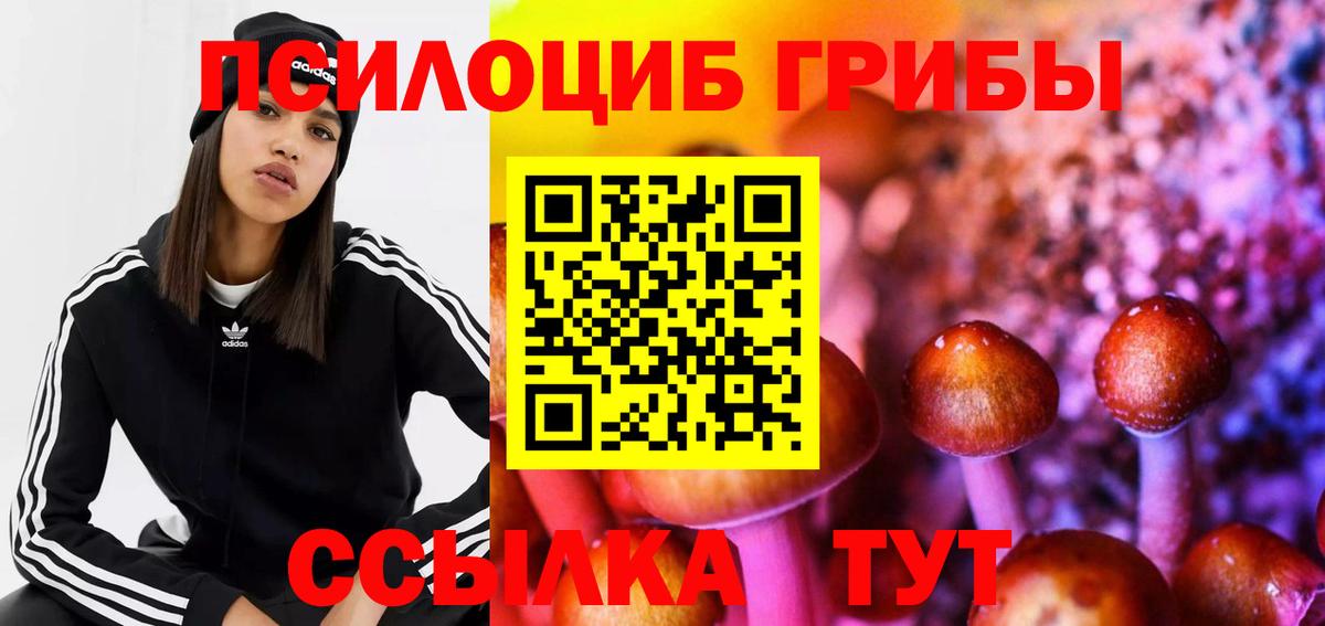 Галлюциногенные грибы Cubensis  Галлюциногенные грибы Cubensis  Вход с VPN  Воронеж 